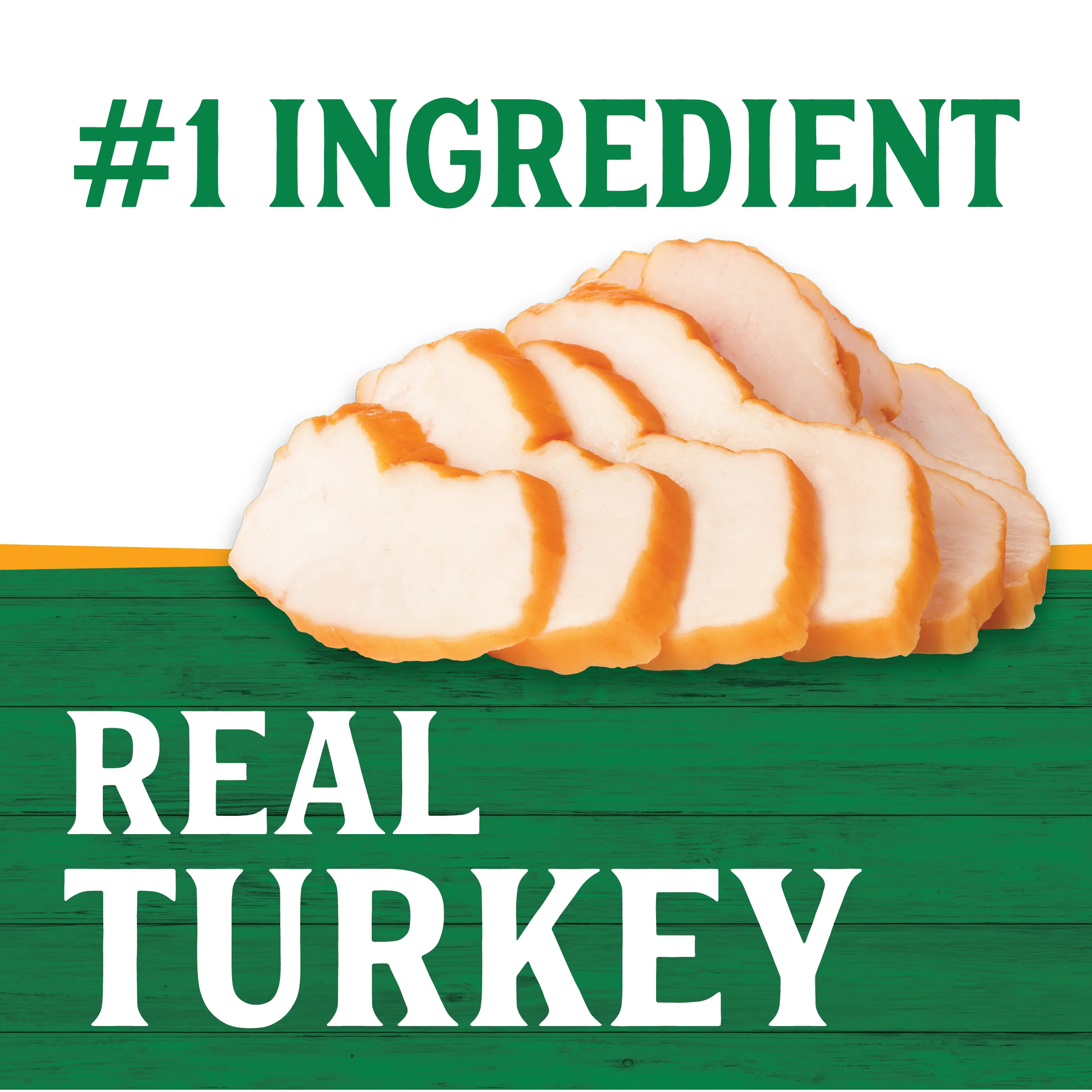 Turkey Recipe Wet Dog Food | 13.2 oz - 12 pk | Triumph